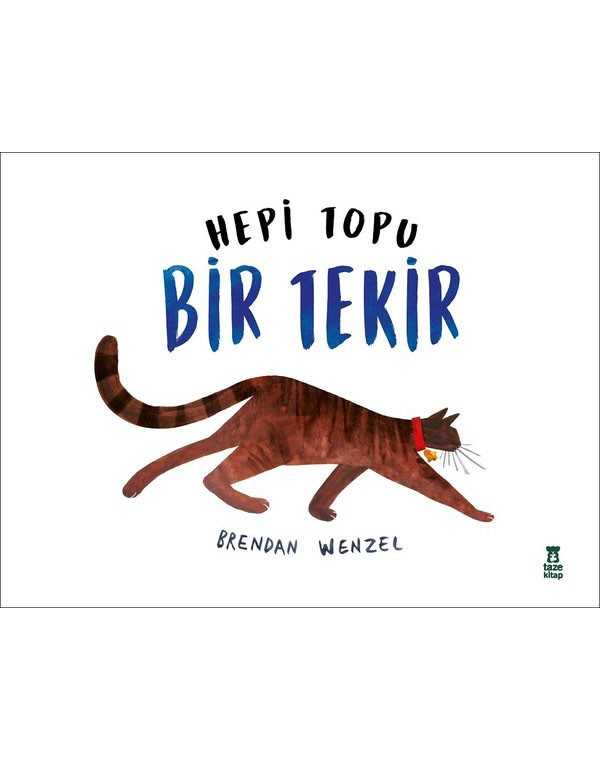 hepi topu bir tekir