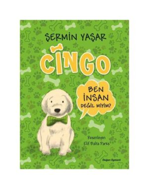 Cingo