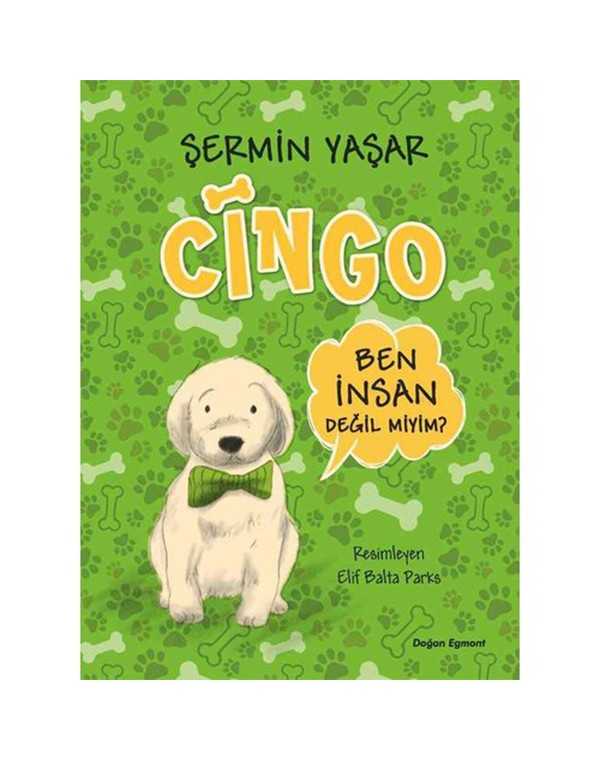 cingo