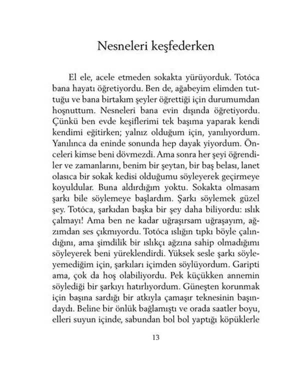 şeker portakalı 2