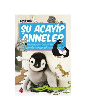 Şu Acayip Anneler