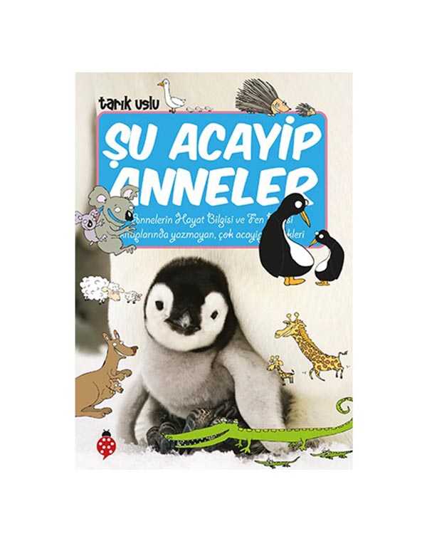 şu acayip anneler