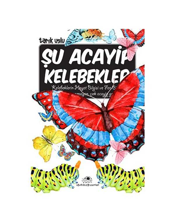 şu acayip kelebekler