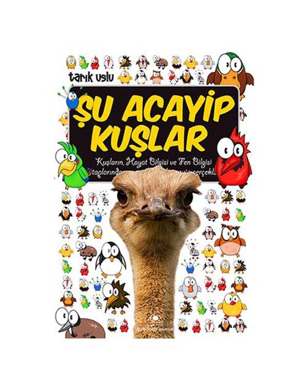 şu acayip kuşlar