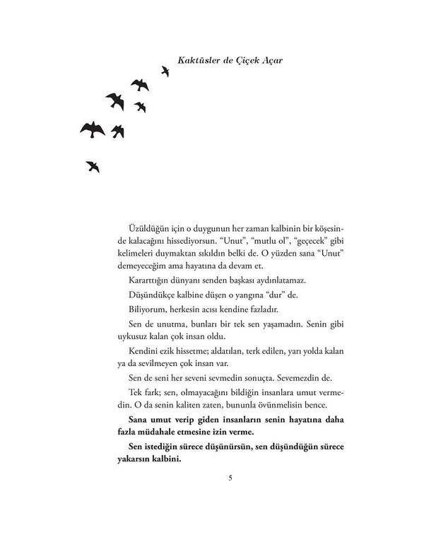 Kaktüsler de Çiçek Açar 1