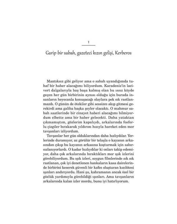 Kardeşimin Hikayesi 1