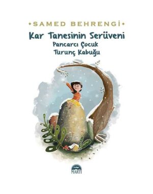 Kar Tanesinin Serüveni