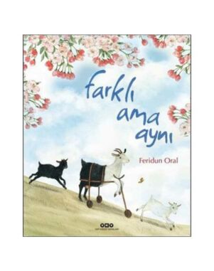 Farklı Ama Aynı