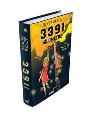 3391 Kilometre