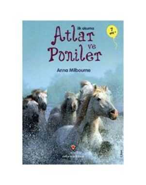 Atlar ve Poniler - İlk Okuma