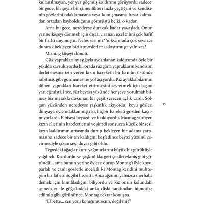 Fahrenheit 451 -3