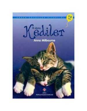 Kediler - İlk Okuma