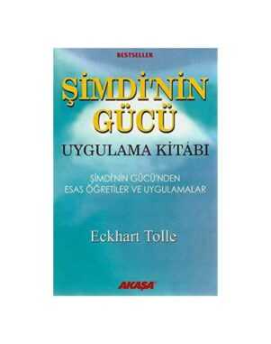Şimdi'nin Gücü Uygulama Kitabı